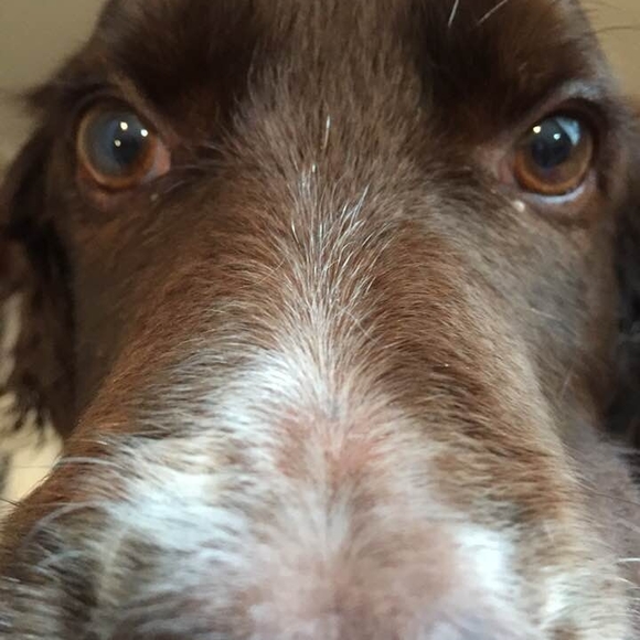 Meet your Posher, Shantell - Picture 1 of 1